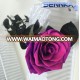 Yunnan Manufacturers Wholesale Preserved Roses Flowers long stem fixed