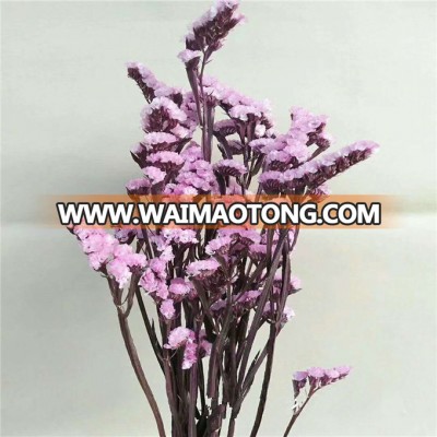 Dried Limonium preserved Limonium/Statice