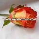 wholesale fresh cut beautiful rose flower