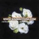 Hot-Sale Wholesale  Eustoma Flower Fresh Cut Flowers