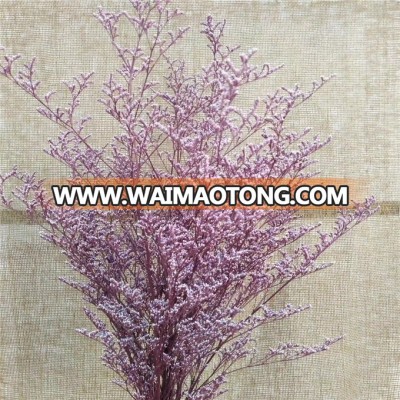 Dried Limonium Preserved Limonium/Statice