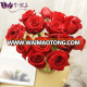 Fresh Cut Rose flower From Farm For Wedding Decoration