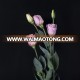 Beautiful party use lisianthus flowers